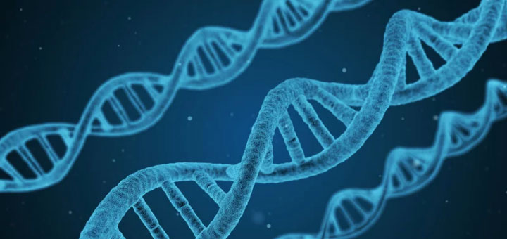 dna